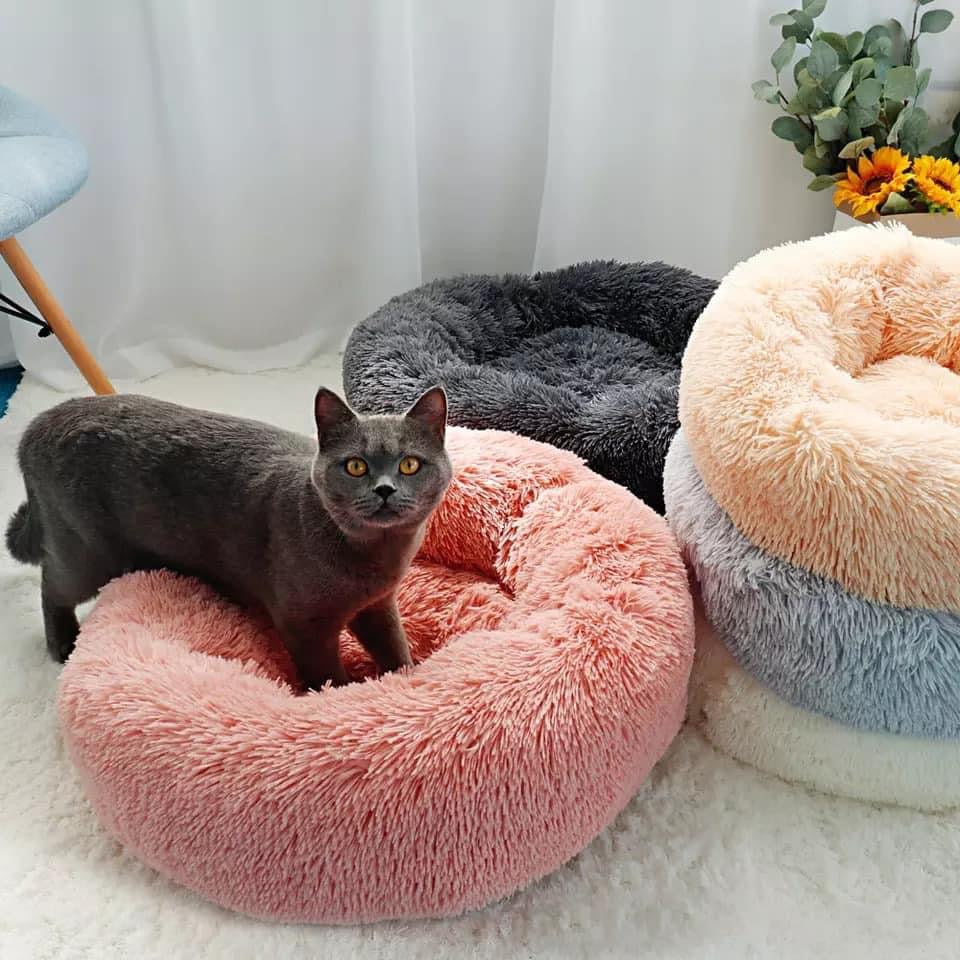 Lit pour Chat & Chien