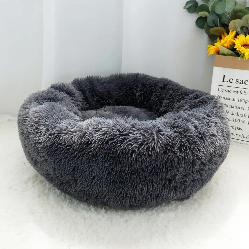 Lit pour Chat & Chien