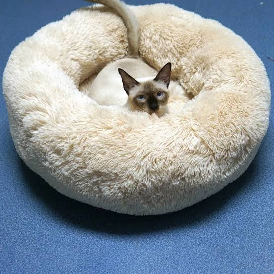 Lit pour Chat & Chien