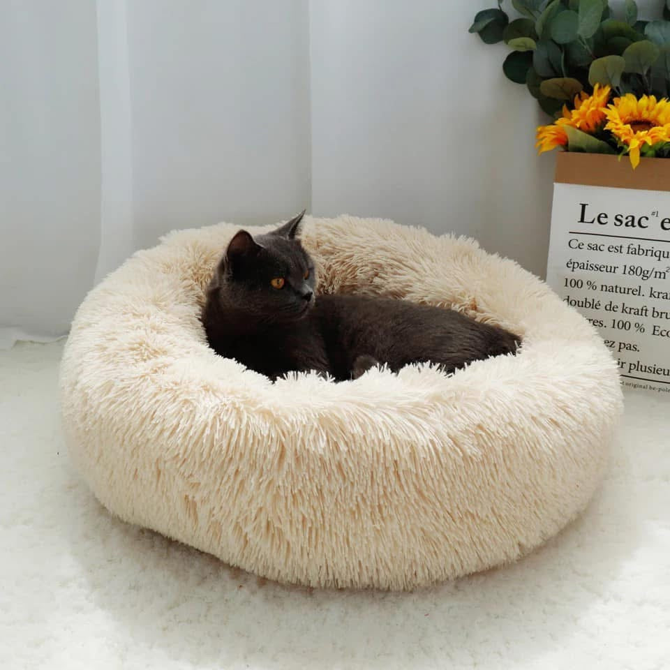 Lit pour Chat & Chien